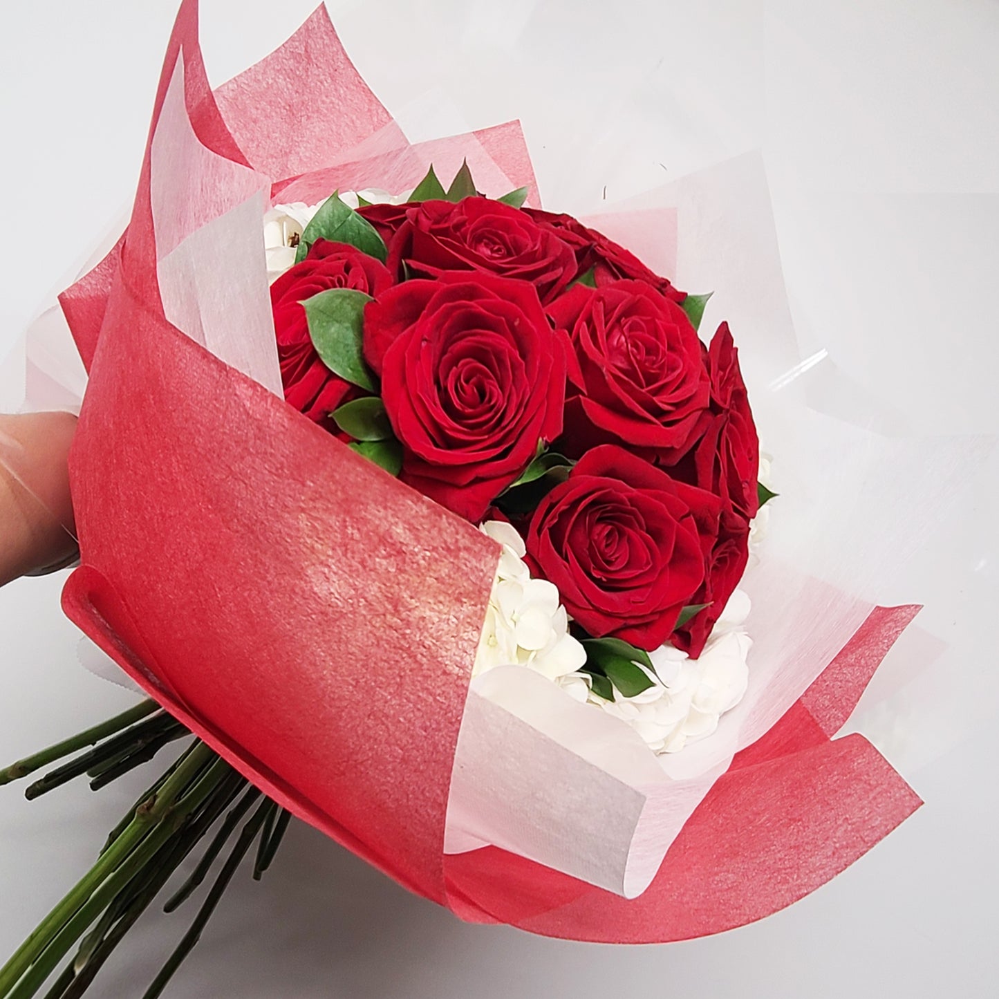 Roses rouges - La Magie des 7Roses et hortensia / Red Roses - The Magic of the 7Roses and hydrangea