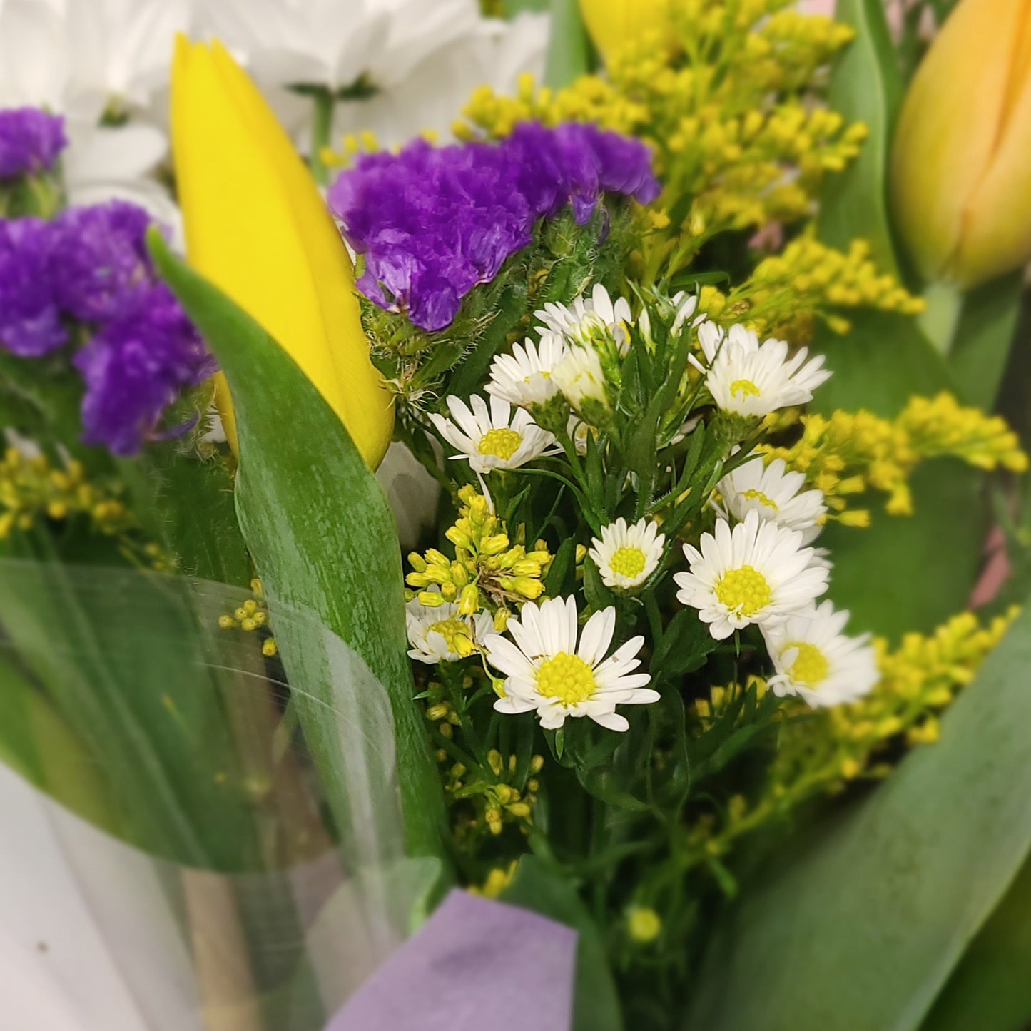 parfum violet - Bouquet de Tulipes / purple scent - Tulip Bouquet