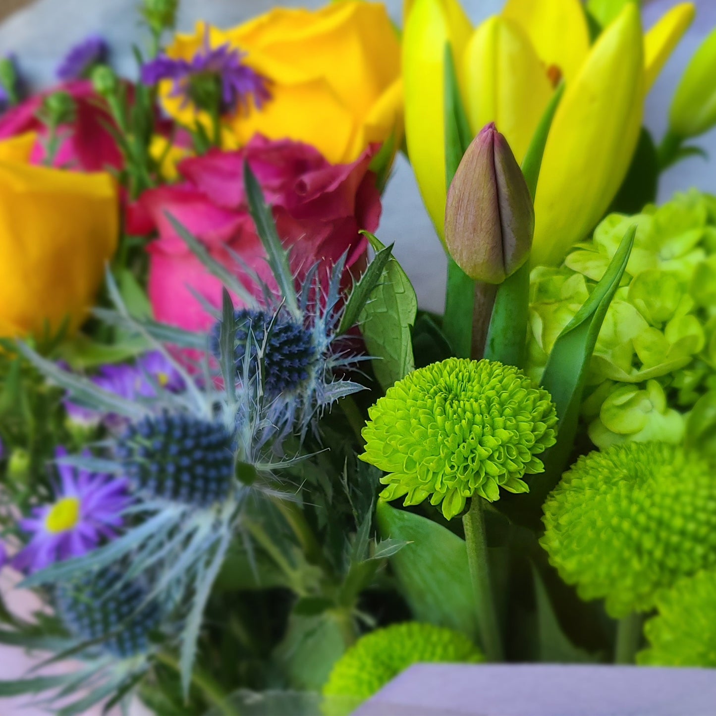 Jour de printemps / Spring day