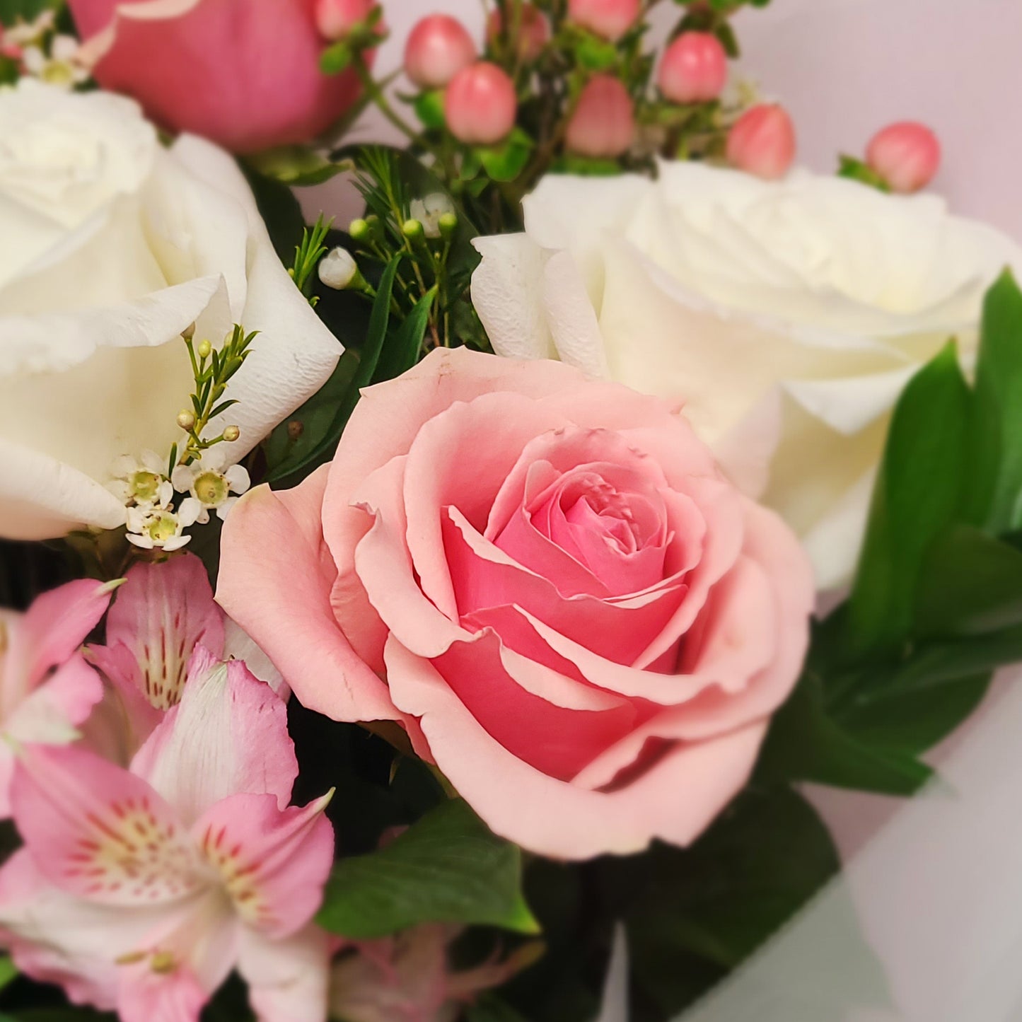 belle journée / lovely day