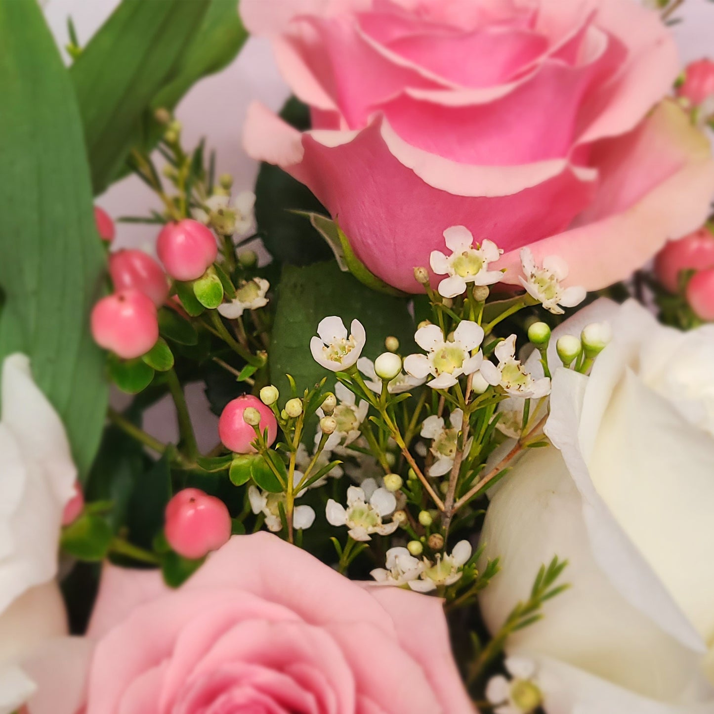 belle journée / lovely day