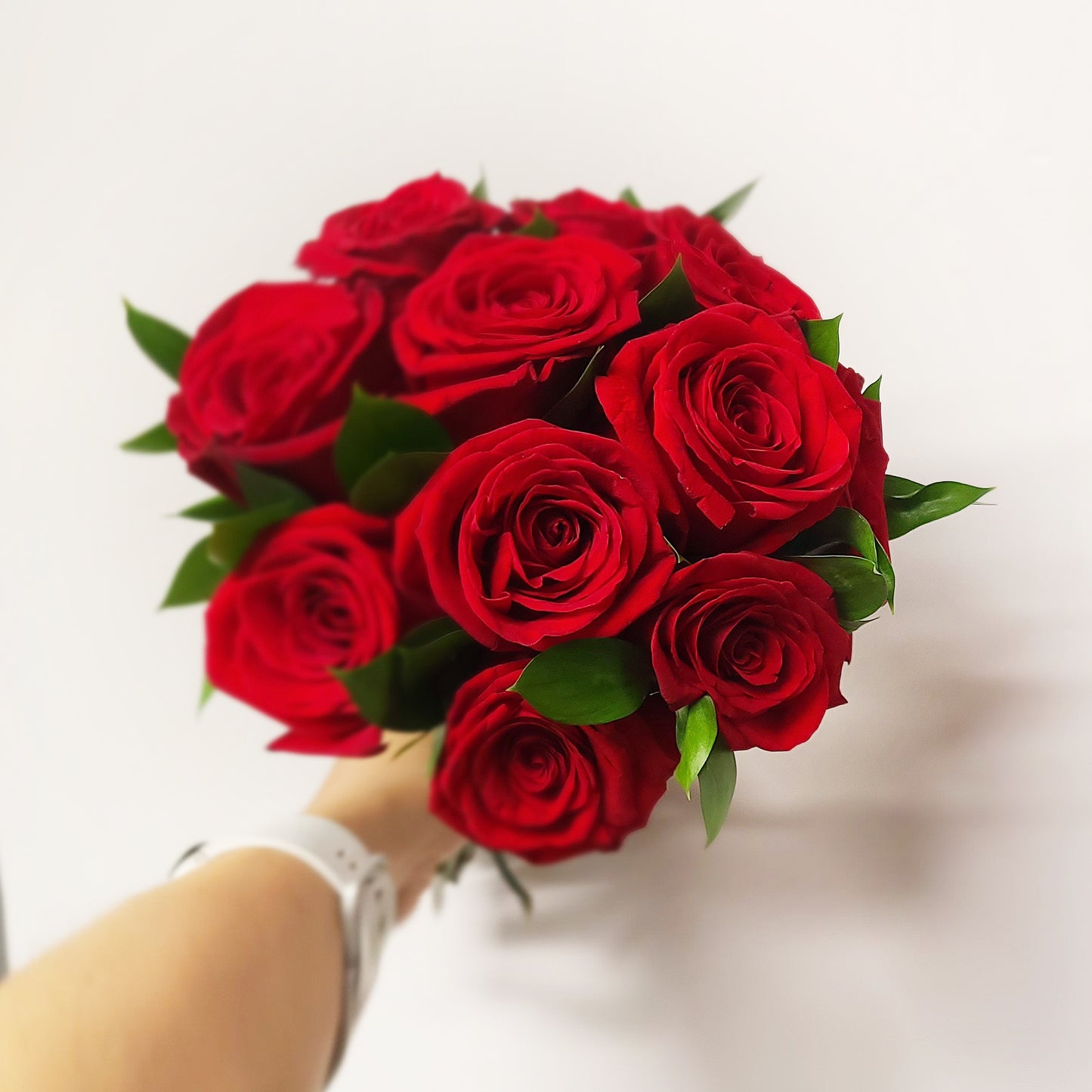 Amour passionné des roses rouges / Passionate love of red roses