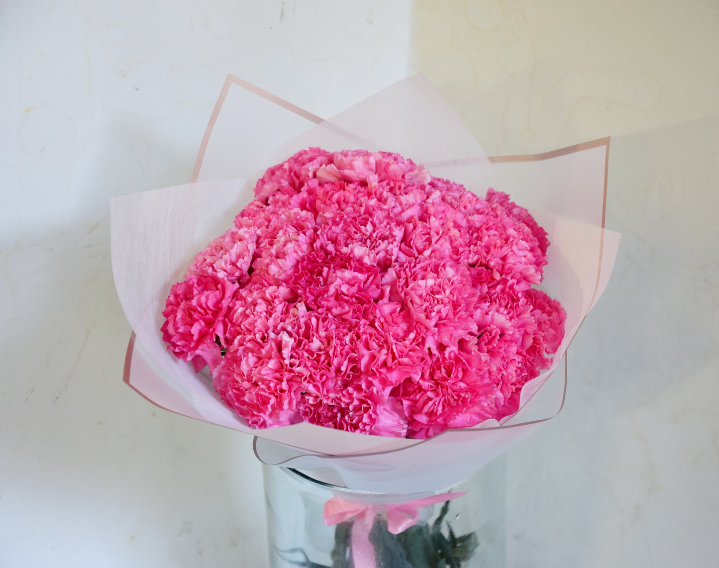pink carnations