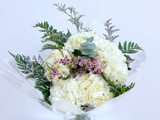 White hydrangeas 1