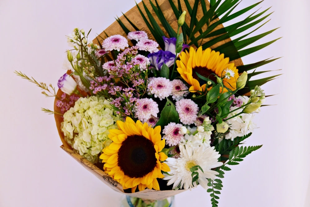 Sunflower 1